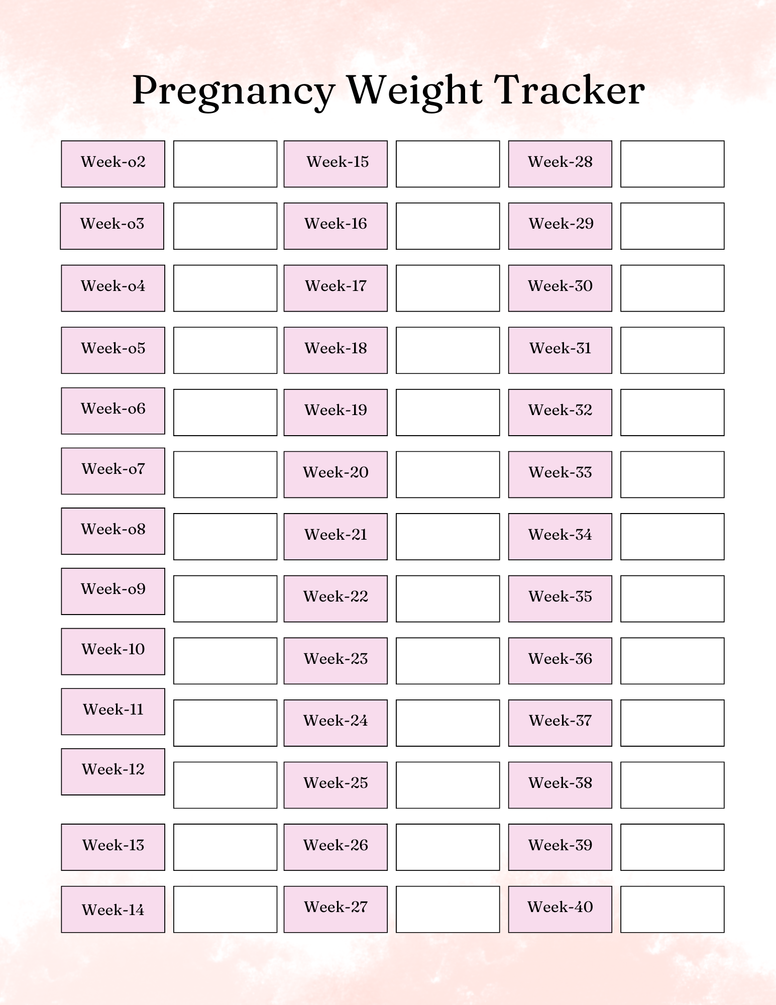 Pregnancy Journal